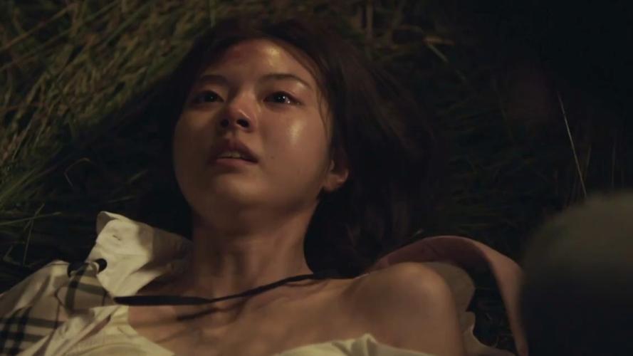 小说 淫人妻者其妻终被淫的相关介绍