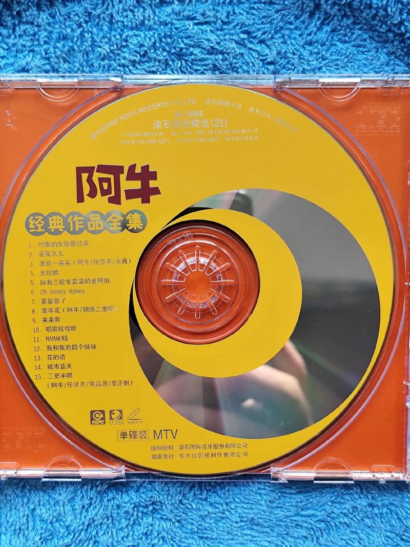 99久久精品国产国产毛片的相关介绍