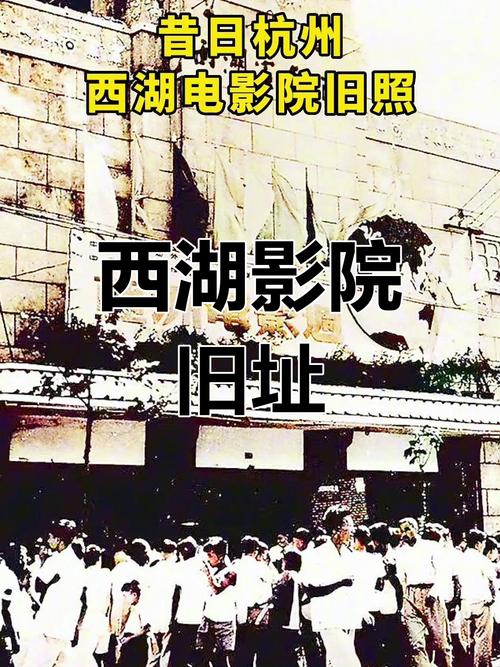 黑狐影院的相关介绍