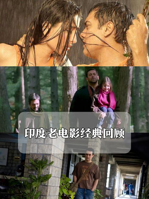 3毛片的相关介绍