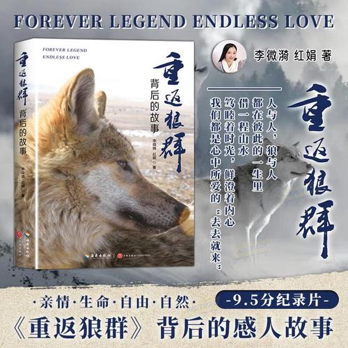480看影院的相关介绍