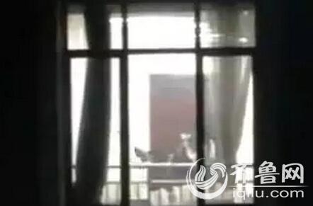 女老师让我操的相关介绍