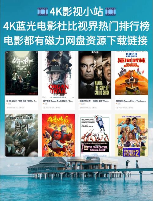 阿牛影院的相关介绍