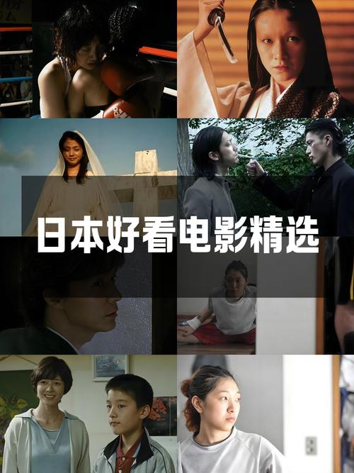 jk黑丝黄片的相关介绍