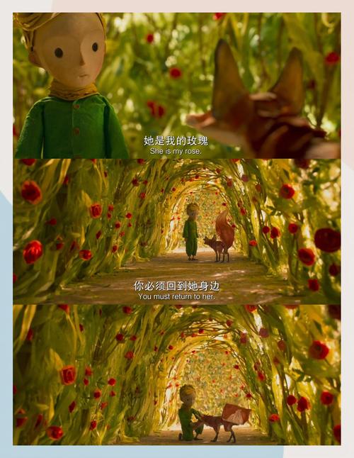 欧美一区二区免费观在线的相关介绍