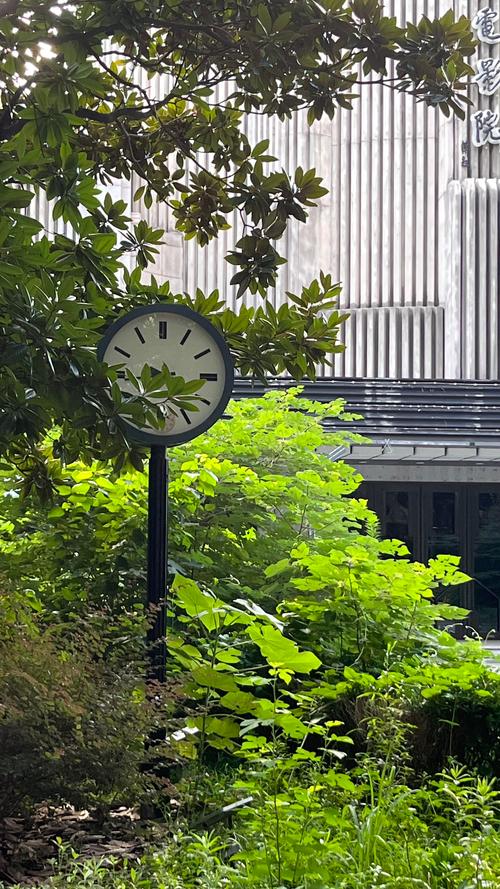 色久悠悠伊人综合影院 - 高清影视在线播放平台，免费追剧、热门大片、动漫综艺一站式观看